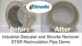 Struvite Remover Chemical and Industrial Descaler STSR Recirculation Pipe Demo [upl. by Hodgkinson]