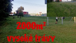 sekání vysoké trávy na 2000m²  SEKOvlog2 [upl. by Chitkara360]