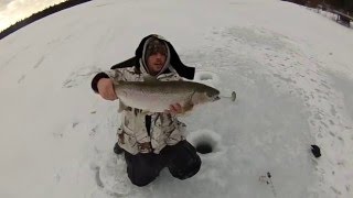 Ice Fishing Rainbow and Lake Trout [upl. by Tamsky]