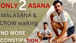 NO MORE CONSTIPATION  REMOVE CONSTIPATION  MALASANA amp CROW WALKING YOGA [upl. by Etan]