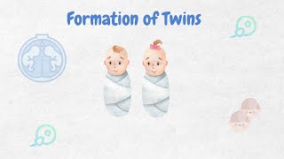 Formation of Twins ll Biology ll [upl. by Luemas]