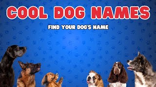 Cool Dog Names amp Meanings Find Your Pups Perfect Name [upl. by Soutor548]