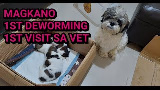 MAGKANO ANG DEWORMING SA TUTA  FIRST VISIT SA VET [upl. by Ylrehc]