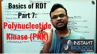 Basics of RDT Part 7 Polynucleotide Kinase PNK [upl. by Greenburg512]