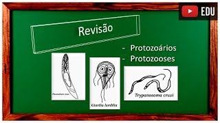 Revisão Protozoários e Protozooses [upl. by Dar]