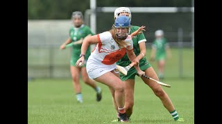 Armagh v Limerick All Ireland Premier Jr Qtr Final 210821 [upl. by Oicnanev776]