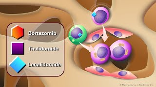 Novel AntiCancer Agents for Multiple Myeloma [upl. by Nylyram]