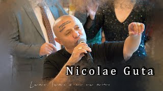 Nicolae Guta  Lume lume ceai cu mine  Live 2024 [upl. by Cl732]