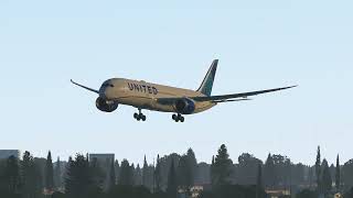 B789 United Landing in Newark New York  X Plane11 [upl. by Danby]