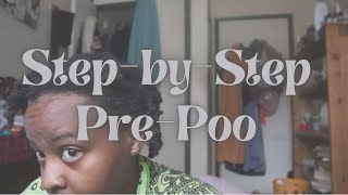 PrePoo for Beginners StepbyStep Routine for Natural Hair [upl. by Jehias854]