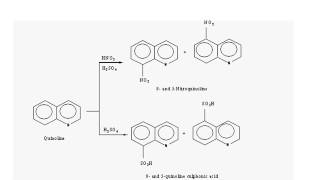 Quinoline Pharmaceutical chemistry Organic chemistryppt [upl. by Fornof121]