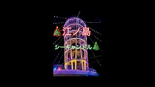 江ノ島シーキャンドル🎄イルミネーション [upl. by Ahsikad825]