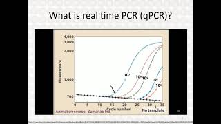 Real Time PCR  Part 3 [upl. by Aicek180]