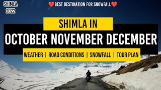 Shimla in October november december  snowfall in shimla  weather  snow  kufri [upl. by Milman685]