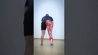 Stretching Worsens SCIATICA sciatica mobility painrehabb backpain motivation nervepain [upl. by Htebharas337]