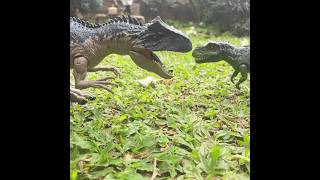 Ceratosaurus vs Allosaurus jurassicworld dinosaurstopmotion shorts jurassicparkdinosaurus [upl. by Aikkin]