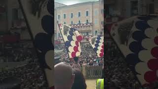 Palio di Siena 2024  Opening Ceremony Highlights palio horse horseracing jockey [upl. by Kaitlyn]