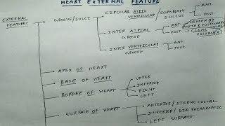 Heart External Features  1 Theory Chart  TCML  Dr Pawan nagar [upl. by Takken875]