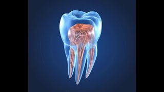 Endodontics I Lecture 5 Access Opening Guidelines amp Laws [upl. by Redyr945]