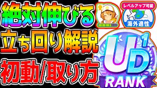 【ウマ娘】絶対伸びる『ラーク立ち回り法！』初動メイ絆海外適性取り方！全てを詰め込んだラークシナリオ育成法解説！【ウマ娘プリティーダービー 長距離 マエストロ SSR引換券ラモーヌ水マルジャンポケ [upl. by Betteann494]