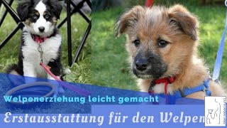 Welpen Erstausstattung  Welpenerziehung  Mein lieber Hund [upl. by Drandell]