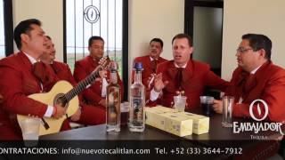 Steeven Sandoval  Mares de Tristeza  Mariachi Nuevo Tecalitlan [upl. by Skippy]