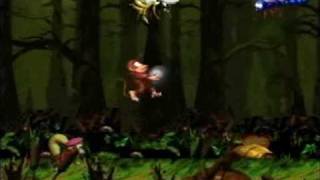 Donkey Kong Country 2  102 Walkthrough Part 14  Barrel Bayou [upl. by Nirb]