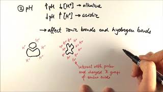 AS Biology  Factors affecting enzyme activity OCR A Chapter 42 [upl. by Audri124]