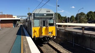 Sydney Trains Vlog 1152 Toongabbie Part 2 [upl. by Reema294]