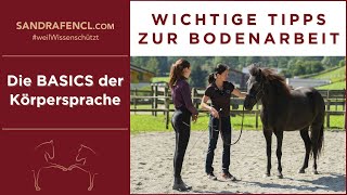 👉🏼 Wichtige Tipps in der Bodenarbeit  Körpersprache Basics 🐎✨ [upl. by Nick]