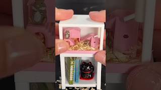 making a mini hamster cage 🐹 miniatures hamsters 3dprinting [upl. by Mariel]