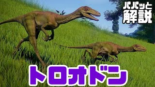 知能の高い小型恐竜！【 トロオドン 】パパッと恐竜解説！／【Troodon】Short Dinosaur Explanation [upl. by Fadil]