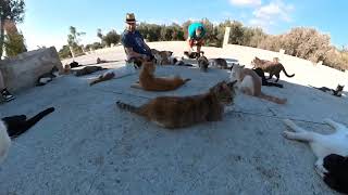 St Nicholas of the Cats  Arkotiri Cyprus [upl. by Aicetal]