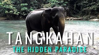 TANGKAHAN  THE HIDDEN PARADISE GUNUNG LEUSER NATIONAL PARK [upl. by Ahseet871]