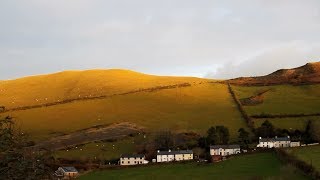 Tom Rosenthal  Christmas Quiet Official Music Video [upl. by Aryaz641]