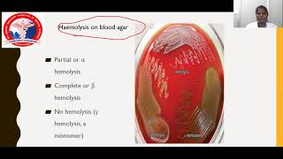 Laboratory Diagnosis of Bacterial Infections  Dr Pradha [upl. by Llewxam912]