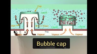 Distillation column working  Bubble cap tower  Animation [upl. by Ervin766]