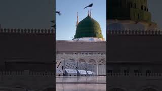 Very beautiful video Masha Allah mashallah subhanallah [upl. by Ettenuahs]