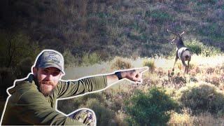 Chasing Arizona’s GIANT Muleys [upl. by Raouf195]