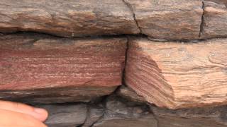 Stratigraphy  Looking at Siltstone Sedimentary Structures [upl. by Enaed]