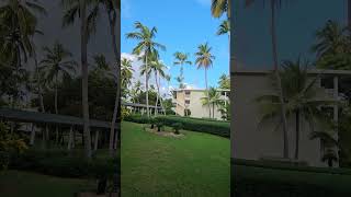 Grand Sirenis Punta Cana Resort Dominican Republic [upl. by Cox]