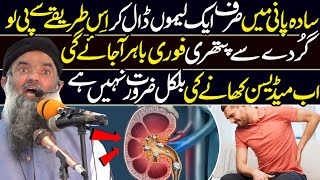 Kidney Gurdy Mein Pathri Ka Ilaj  Best Bayan by Dr Sharafat Ali  Latest HD Video [upl. by Tubb]