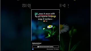 Sad song  odia  tending song youtbshots marijibi pache  youtub [upl. by Blisse]