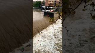 Flood Situation in Wrocław Poland 🇵🇱 flood poland wrocław dolnośląskie kłodzko odra wroclaw [upl. by Glyn]