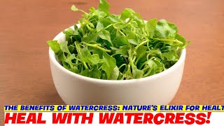 The Benefits of Watercress Natures Elixir for Health and Wellness [upl. by Karalynn]