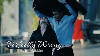 Cihan amp Melek  Perfectly Wrong [upl. by Edasalof398]