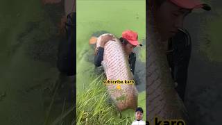 fishing fisherman fish fishermanlife carpfishing fishermanslife fishingtips fishermans [upl. by Ocsinarf315]