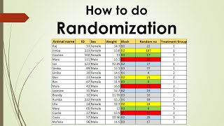 How to do randomisation in research studies [upl. by Sieber]