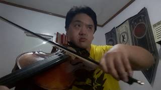 Mozart Symphony No 25 Allegro  Viola [upl. by Eusebio]