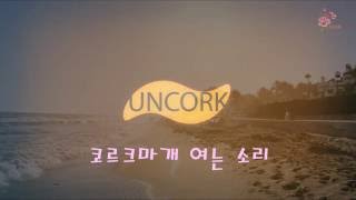 바람에 날리는 종이전기스파크까마귀코르크 마개문 여는 소리 효과음 291 [upl. by Etterrag]